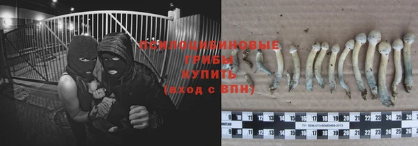 а пвп мука Арсеньев