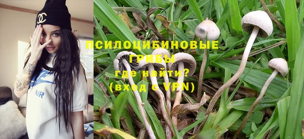 спайс Аркадак