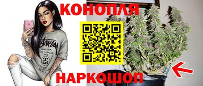 бошки Жуковский