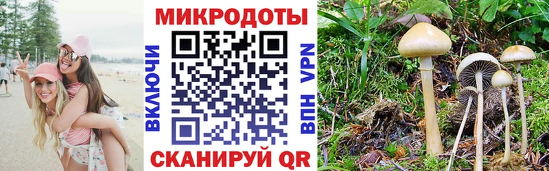 Галлюциногенные грибы MAGIC MUSHROOMS  omg онион  Чернушка  дарнет шоп 