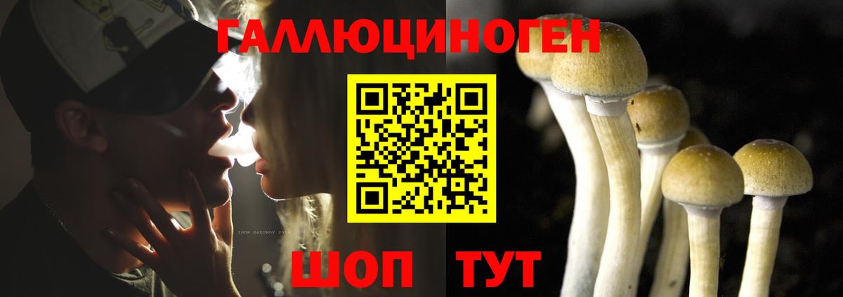 Чернушка  Галлюциногенные грибы мухоморы  Вход с VPN 